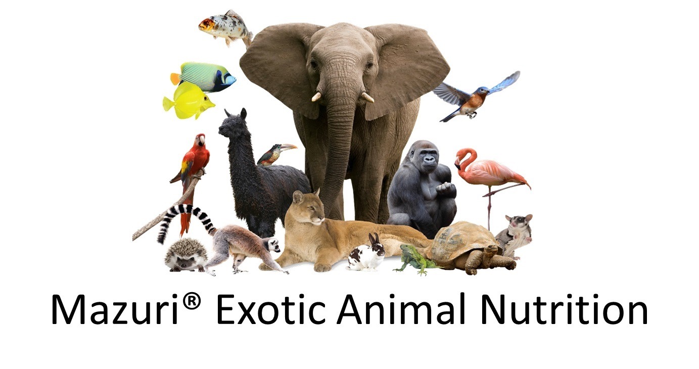 Exotic hot sale animal nutrition